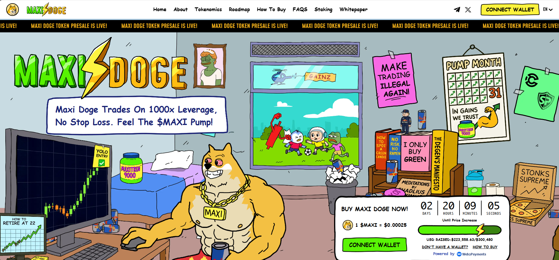 maxi doge price